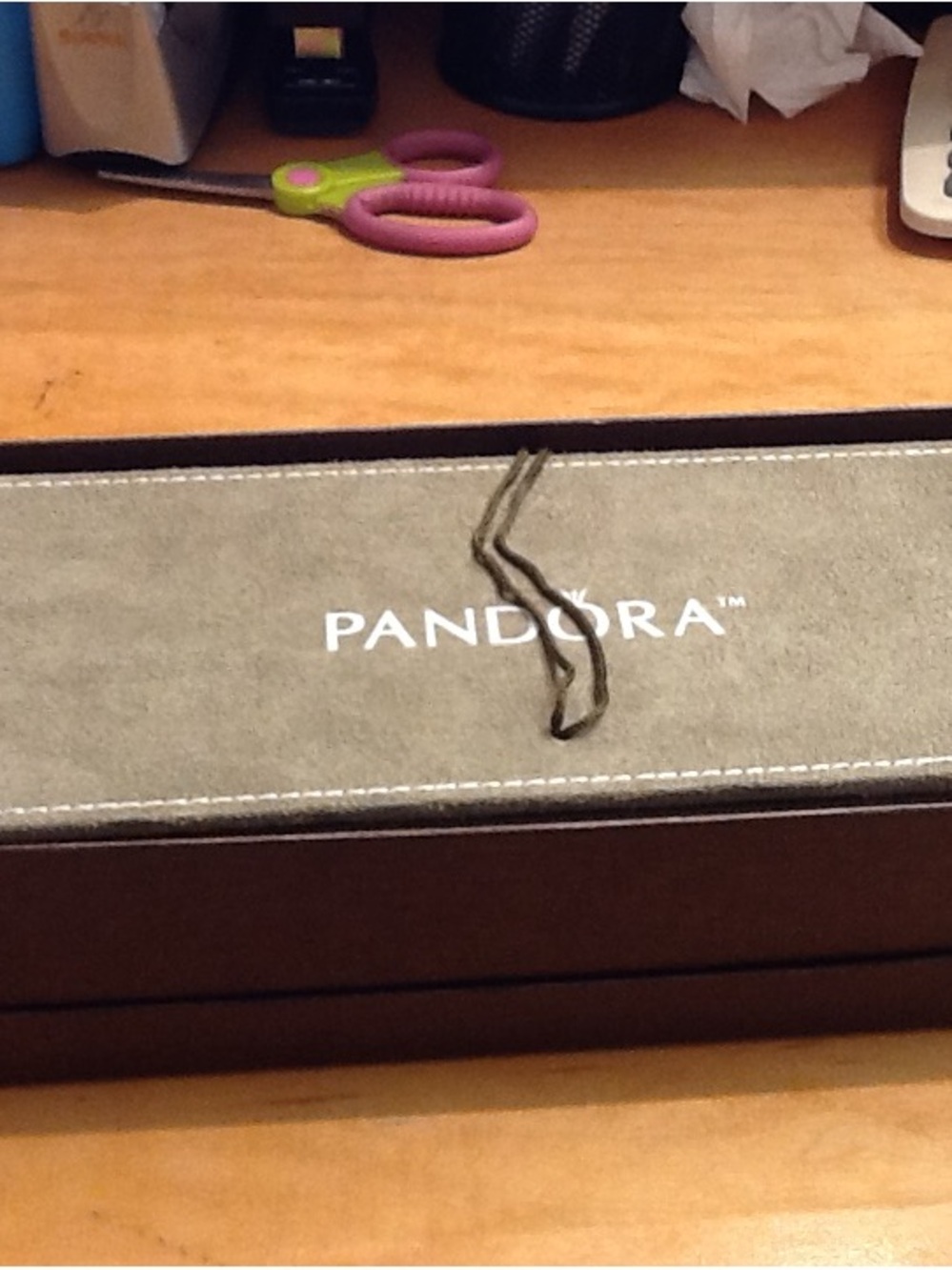 Pandora Taupe and Brown Jewelry Case with Logo